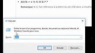 Supprimer le virus raccourci de votre clé USB ou pc