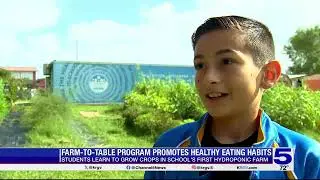 IDEA San Benito students learn to grow crops in school's first hydroponic farm