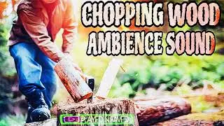 Chopping Wood With Forest Background Sound