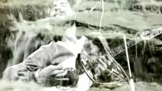 Cat Stevens --Daytime 1978