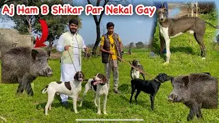 Shadi Chour Kar Ham Shikar Paar Nekaal Gay | Hunting Videos | Pets Vlogs