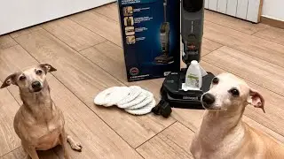 BISSELL&reg; SpinWave&reg; + Vac Pet Pro with The Insiders