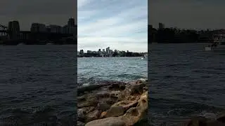 Beautiful Sea View in Sydney Australia #shorts #travel
