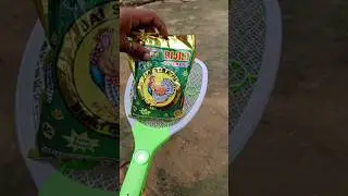 दिवाली patakha vs mosquito racket 😂😂 #crackers #patakhe #diwali #mosquito #shots #viral