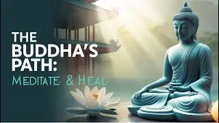 Meditation and the Three Poisons: Greed, Hatred, Delusion | Open Hearted Meditation