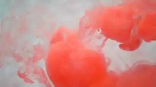 Red Ink In Water - Creative Slow Motion II White Background II FREE BACKGROUND VIDEO II NO COPYRIGHT