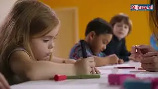 What does a primary school director do?