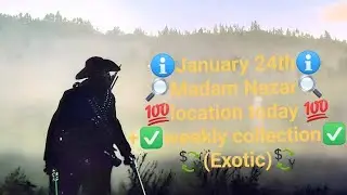Madam Nazar location today January 24th (RDR2 Online) + weekly collection location (Exotic)