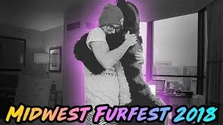 AN EMOTIONAL MOMENT | MFF 2018 Vlog #5 (Midwest Furfest)