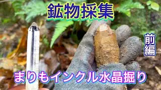 近畿某所で、まりもインクル水晶掘り　前編【鉱物採集】