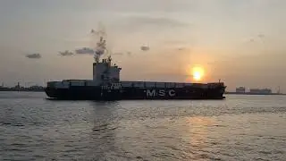 Passing the Morning Light: MSC Cargo Ships at Sunrise
