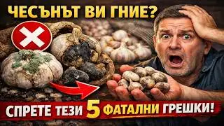 ЧЕСЪНЪТ ВИ ГНИЕ? Спрете да правите тези 5 ФАТАЛНИ грешки!