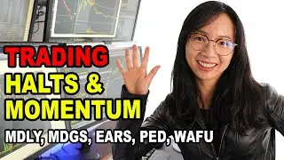 Trading Momentum Stocks, Trading Halts, Short Squeezes MDLY, MDGS, EARS, PED Trading Recap