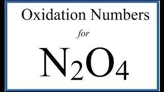 How to find the Oxidation Number for N in N2O4     (Dinitrogen tetroxide)