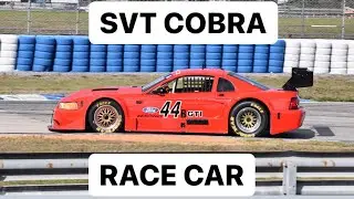 Mustang Cobra Race Car at Sebring | SPEEDISBEAUTIFUL