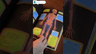 Quiz Whiz 1,000 Fun & Mind-Bending Trivia Questions | National Geographic Kids | Paramount Books