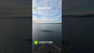 Ogden Point Waves, Sunset and Rowing [4K]