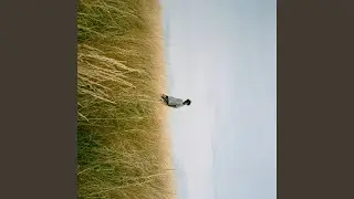 Torn
