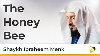 The Honey Bee  - Shaykh Ibraheem Menk