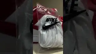 Nike Dunk Low SP 