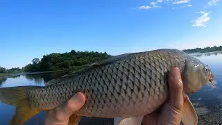 Самые жаркие дни летней многовидовой рыбалки в лесном заповеднике (карп, бычок, окунь и многое др...