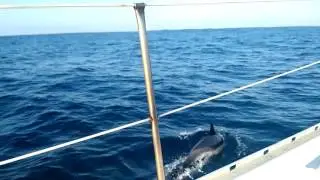 VID 20161212 101847