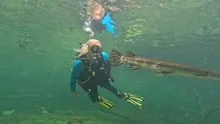 Sky Diving & Scuba Diving all in the same Florida Destination