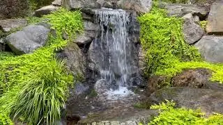 Find Your Zen...Breathe, Relax and Enjoy