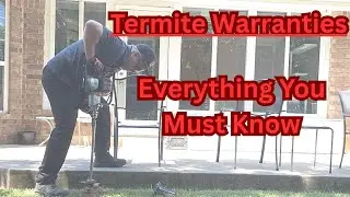 Termite Warranty Explanation - Everything You Need to Know