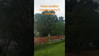 Kodai weather  changes  every 5 minutes #kodaikanaltravel #india #kodaikanaltravelguide #viralvideo