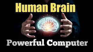 Memory storage capacity of the human brain | In हिंदी 💭