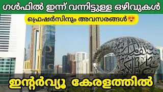 ഗൾഫ് ജോലി ഒഴിവുകൾ 🤩 ഇൻ്റർവ്യൂ കേരളത്തിൽ | Fresher gulf jobs | Gulf Dubai  job interviews in kerala