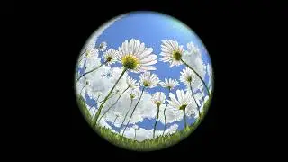 헤온(Heon) - 8 (paradise) [Official Audio]