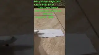 Delta Airlines Flight 1411