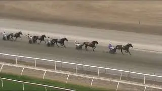 Trial 5 - 6th March 2025 - Kilmore Racing Club