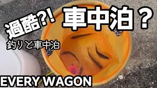 釣りと車中泊　超過酷！釣りはスポーツだ！50代女子釣りをしながら車中泊できるのかEVERY WAGON