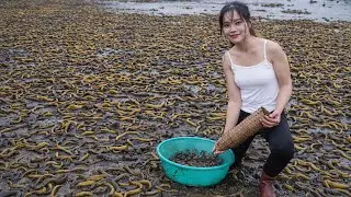 72 Hours Catching 1000+ Eels for Market &ndash; Traditional Crab Traps Harvest! | Ly Tieu Lam 🐍🦀🔥