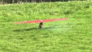 Peachy's Shadow.wmv
