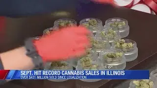 Illinois sets new monthly marijuana sales record for September