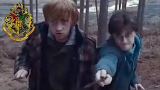 Harry Potter: &ldquo;Harry & Ron Hunt A Rabbit&rdquo; (Deleted / Extended Scenes)