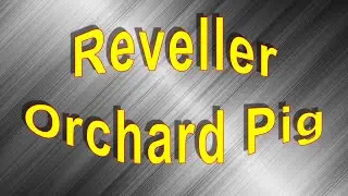 Beer Review №509 - Perfectdraft - Reveller - Orchard Pig Cider