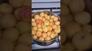 Crab apple syrup part 1