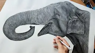Drawing Elephant A1 Size | Timelapse 🔥