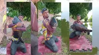 Esse peixe &eacute; muito esportivo !! Tambacu e sua for&ccedil;a!