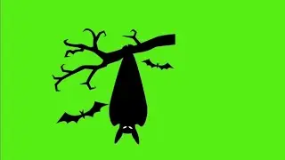 Green Screen Video || Fx Neon Animation Video Without Copy Write(Green Screen) #Use For Editor