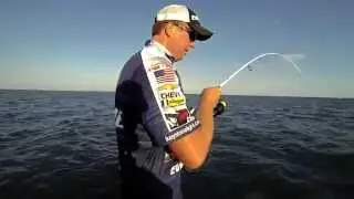 Spybaiting: 