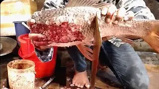 Amazing CUTTING VIDEOS | FISH CUTTING SKILLS | new video 2023 Fish Market71