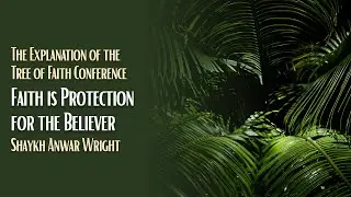 Faith is Protection for the Believer - Shaykh Anwar Wright
