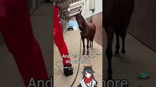 Umamusume Lore You Didn't Know: The Funniest Horse Training