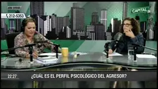 ¿Cuál es el perfil del agresor?